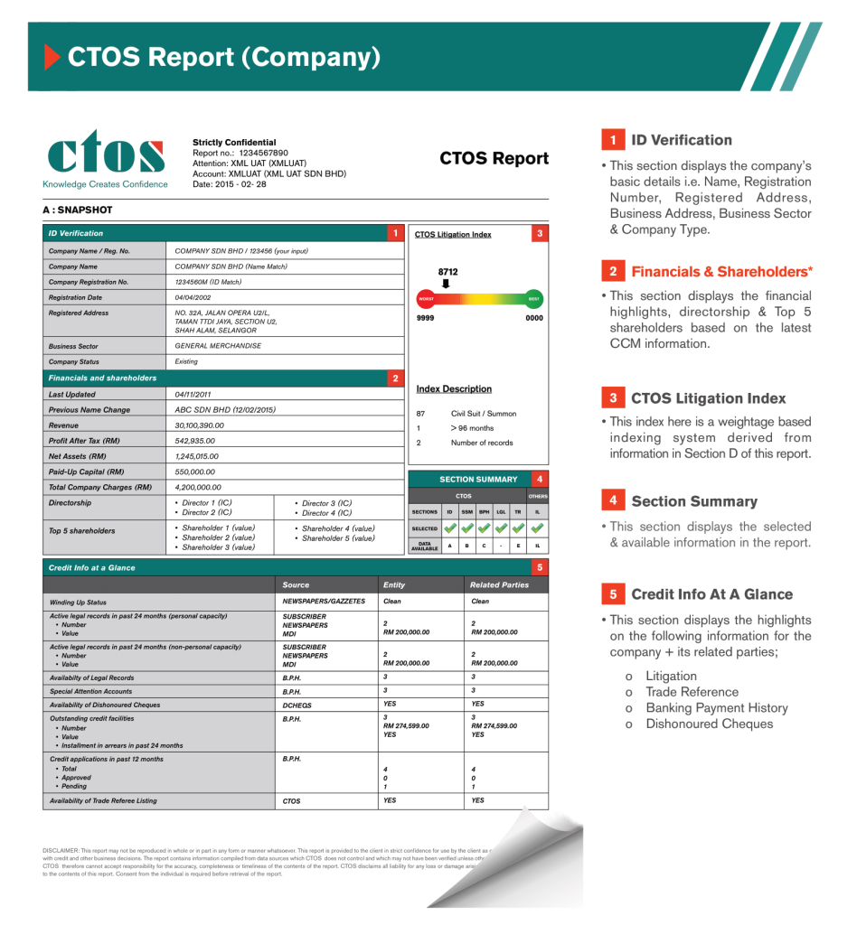 CTOS Credit Sample Report