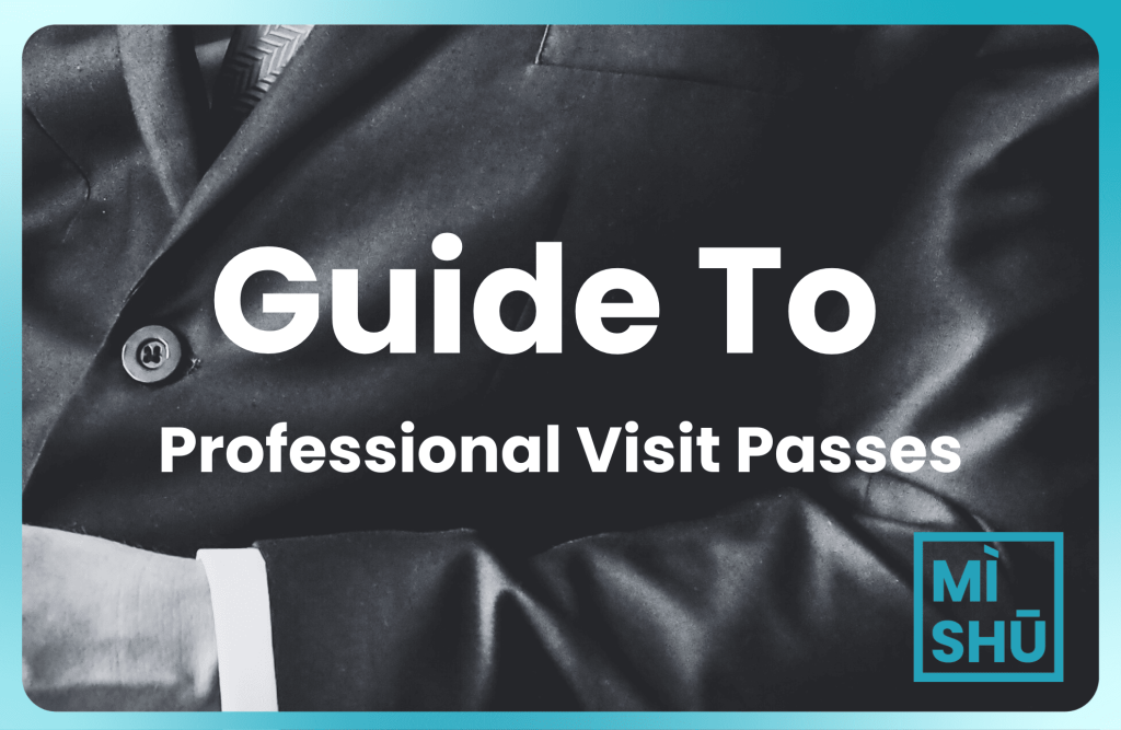 guide to professional visit pass malaysia