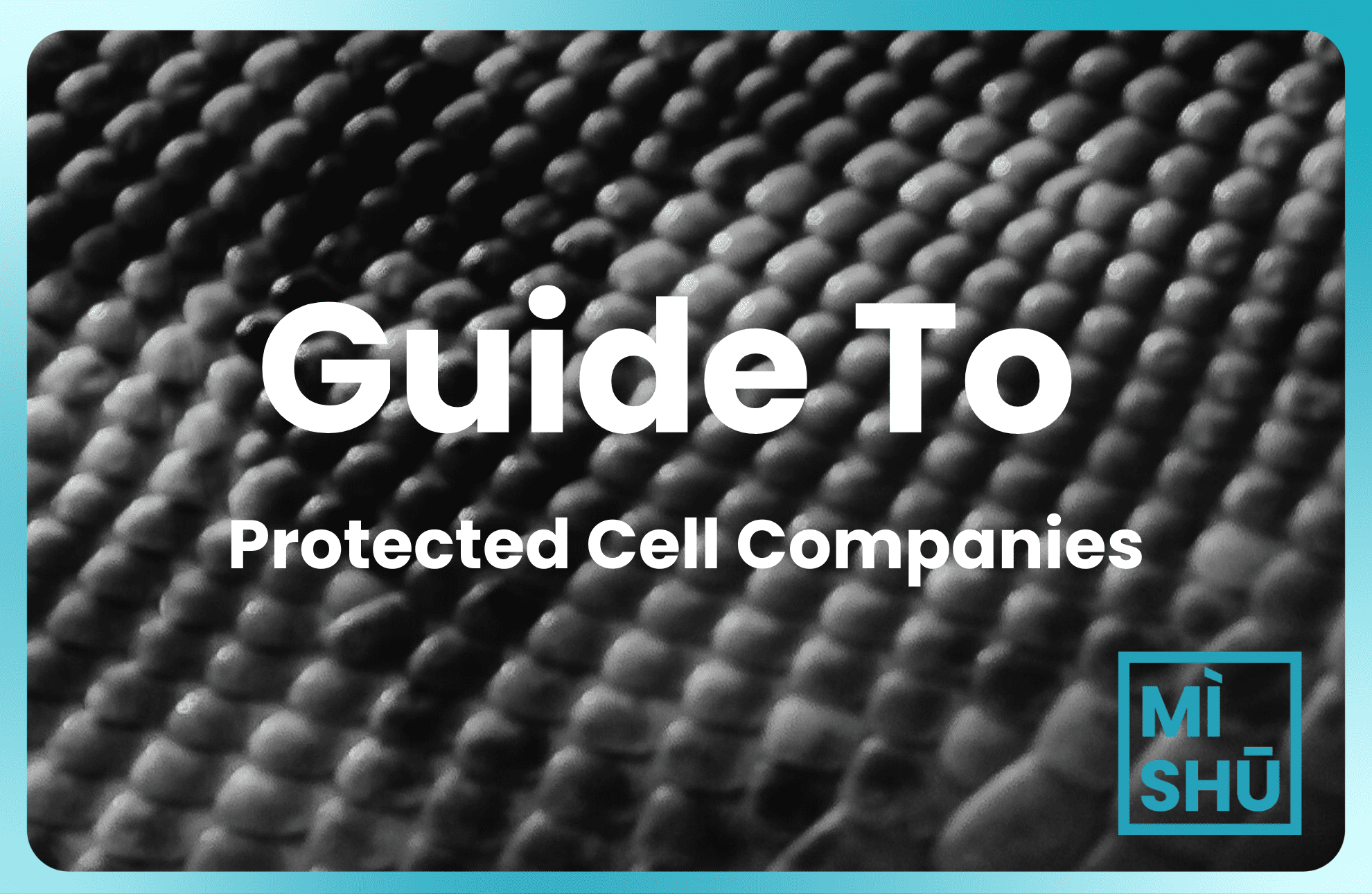 guide to protected cell company in Labuan