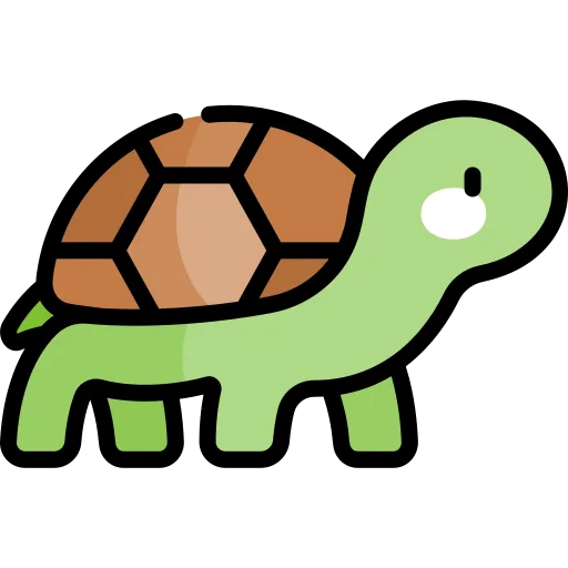 turtle to symbolise More relaxed rules for older applicants