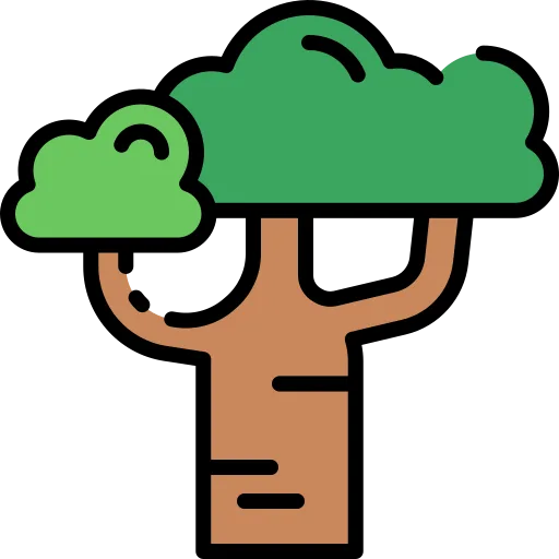 baobab tree as a reference to tech vc and investors under mtep