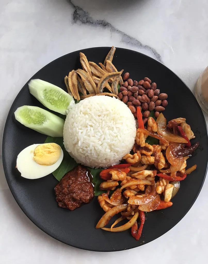 plate of nasi lemak as a joke about what MTEP applicants can enjoy when they travel to Malaysia