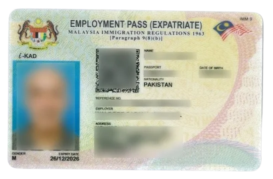 sample DP10 visa card